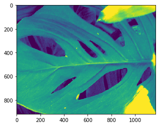 ../_images/6cc5dd6649db70e080a92aab0b3554fdc9205e73337fc992af4b62af0e501ccf.png